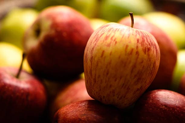 تصویر 3 از خرید سیب درختی + فروش ویژه